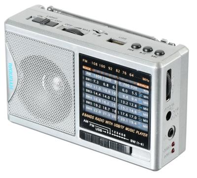 Радиоприемник HYUNDAI H-PSR160 серебристый (портативный)