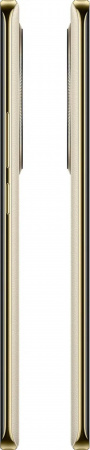 Смартфон REALME 12 Pro 5G RMX3842 8/256Gb бежевый [631011001046]